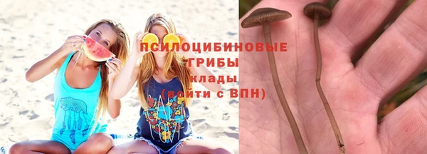 гидропоника Майский