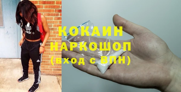 гашик Магас