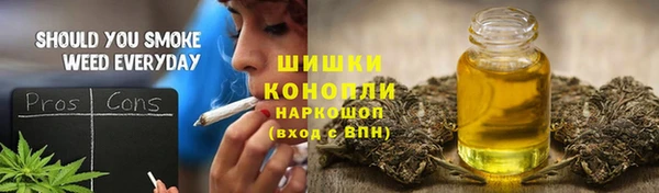 гашик Магас
